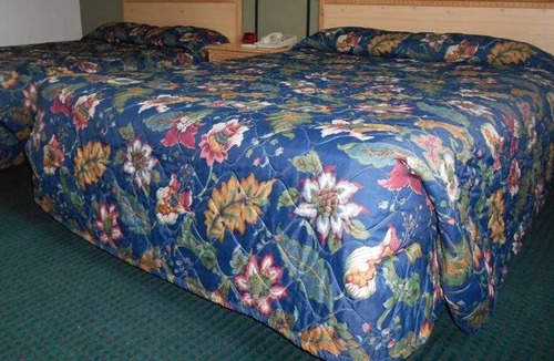 Enumclaw House | Relaxing Getaway in GuestHouse Enumclaw! 2 Pet-friendly Units, Free Parking