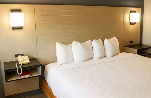 Van Buren Hotel | Relaxing Pet Friendly Room Perfect for a Relaxing Couple Getaway