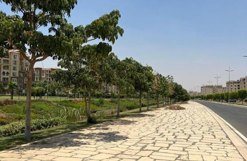New Cairo Apartment | Relaxing Studio in Madinaty
