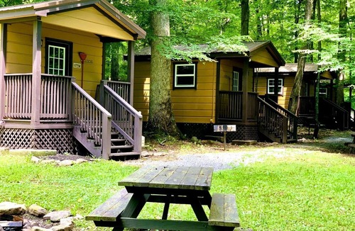 Mingo House | Relaxing Tiny Cabin with Outdoor Fire Ring in West Virginia