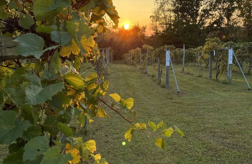 Hoagland House | Relaxing vineyard estate with views and wildlife. Trails, trees and tributaries!