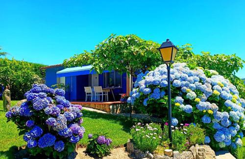 Cobres House | REMANSO AZUL
