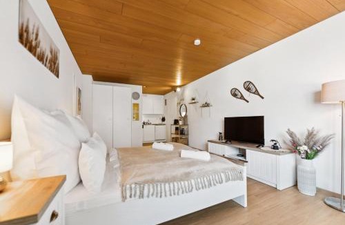 Ingenbohl Apartment | ReMo I Lake View Studio 1 - 2 Personen I See - Bergsicht I 40" Smart TV I Dusche, Fahrstuhl und Parkplatz