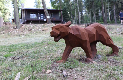 Angel Fire Cabin | Remodeld Cabin in the Woods, King Bed,