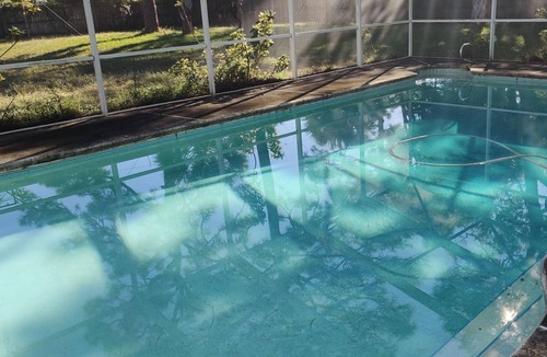 Rockledge Apartment | Remodeled studio in Rockledge, with sliders to pool and huge tropical yard.