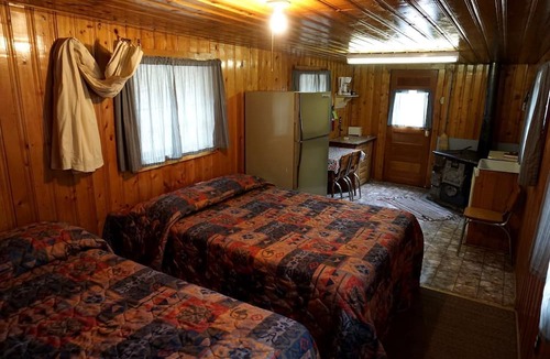 Bellvue House | Remote and Cozy Mountain Cabin Nestled in the Poudre Canyon, Perfect for a Pet Friendly Glamping Retreat
