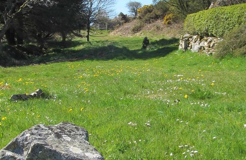 Goodwick House | Remote Peaceful Cottage. Great for families. Panoramic Views & Skies. Fresh Air.
