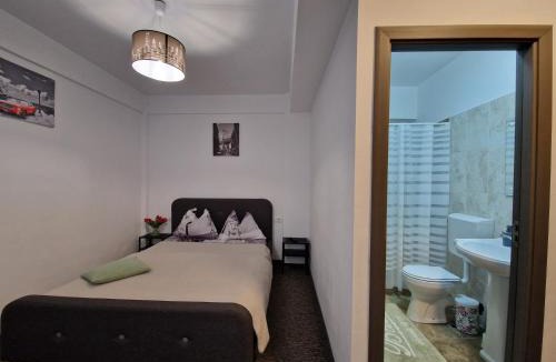 Baile Herculane House | Renate House