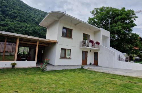 Baile Herculane House | Renate House