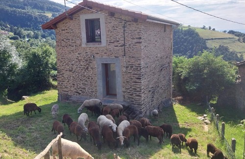 Saint-Chamond Cottage | Renovated cottage with terrace and pets allowed in Saint-Chamond
