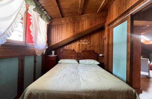Auronzo di Cadore Apartment | Renovated Mountain View Apartment