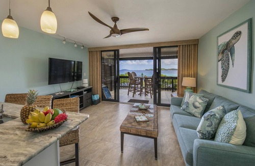 Red Hook Condo | RENOVATED, Spacious 1 BDRM, Luxurious, BEACHFRONT