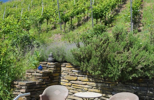 Uerzig Apartment | Rental-Private Bathroom-Vineyard view