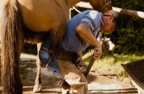 Salento Hotel | Reserva Guadalajara - Authentic farm in Cocora Valley