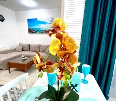 Ploiesti Apartment | Residence 3