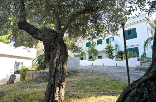 Defensola Apartment | Residence Dolce Far Niente