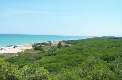 Marina di Chieuti Apartment | Residence MILANO