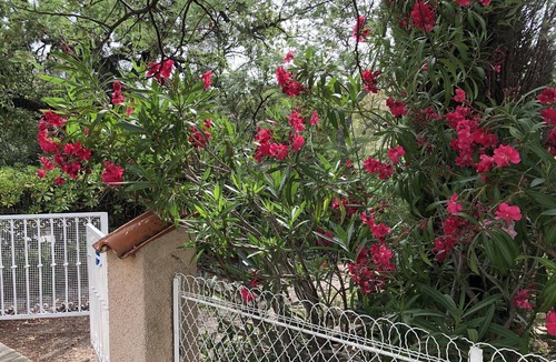 Boulouris-sur-Mer Apartment | Residential area Garden level of villa, beach on foot!