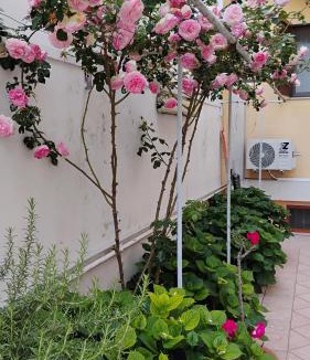Giorgilorio Bed & Breakfast | Residenza Del Sole