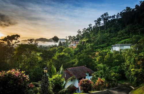 Janda Baik Villa | Rest Pause Rainforest Retreat