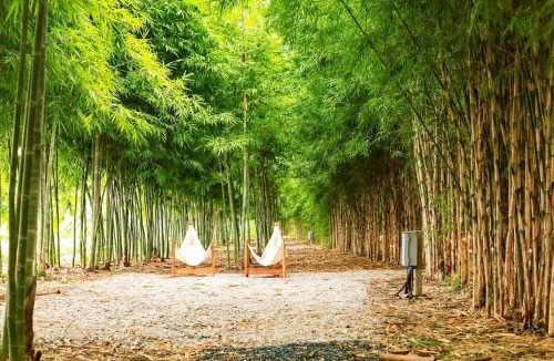 Phra Phutthabat Resort | Rest Time Bamboo