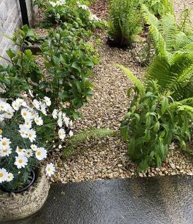 Shepton Mallet Bed & Breakfast | Retreat for Two