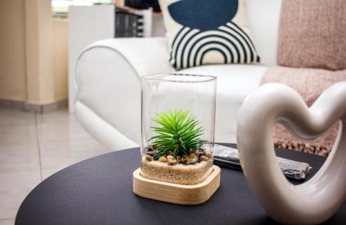 Springs House | Revitalize