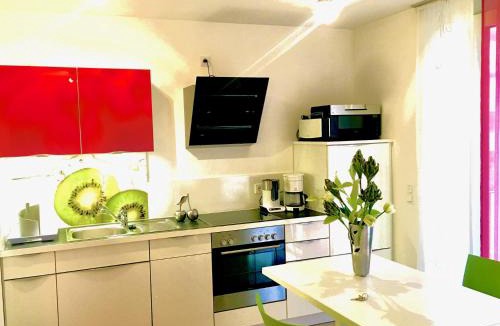 Petershausen-West Apartment | Rhein Romantik riverview