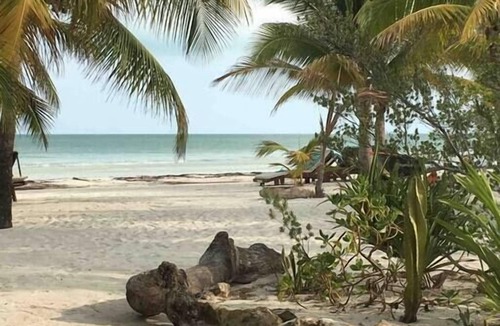 Isla Holbox Cabin | Rhincodon Typus, Holbox Eco Boutique Palapas