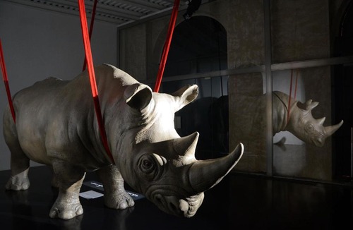 Ripa Apartment | Rhinoceros
