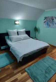 Bistrita Villa | Rhs Host