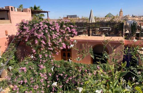 Diour Jdad House | Riad Chameleon