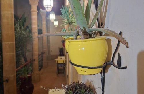 Medina Bed & Breakfast | Riad de l'Audeline