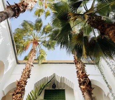 Zaouia Sidi Rhalem House | Riad Vert Marrakech