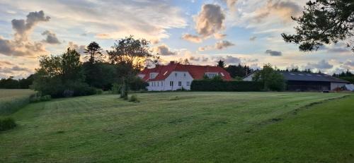 Vester Vedsted House | Ribe Dankirke Bed & Kitchen