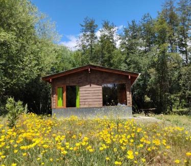 Lago Puelo Ski Chalet | Riberas del Azul