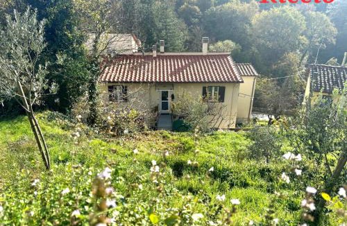 Polcanto Apartment | Riccio