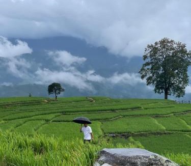 Longsheng Bed & Breakfast | Rice View Lodge