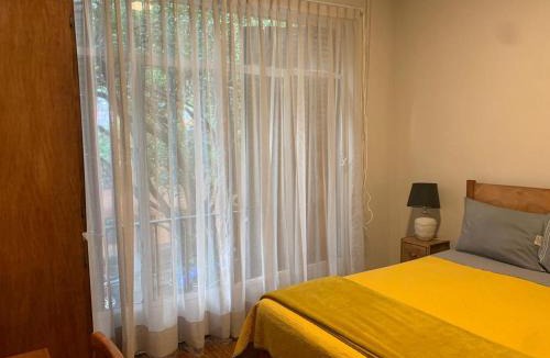Colonia Cuauhtemoc House | Rio amazonas 7