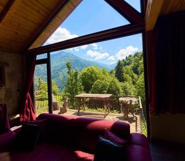 Ayder Villa | Riona dağ evleri