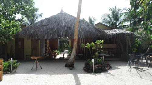 Thinadhoo Bed & Breakfast | RISING SUN BEACH VIEW