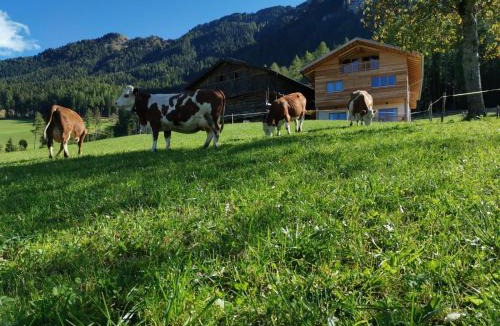 Castelrotto Apartment | Ritschhof