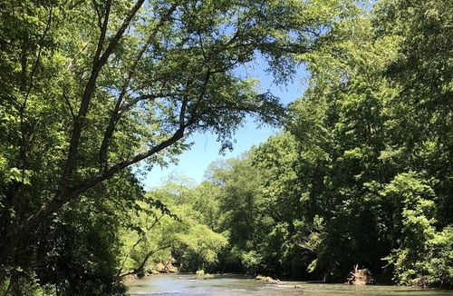 Dahlonega Cabin | River front, Wineries, Hot-tub, wonderful place to gather for celebrations.