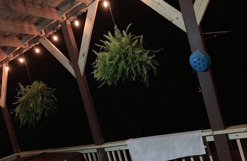 Dahlonega Cabin | River front, Wineries, Hot-tub, wonderful place to gather for celebrations.