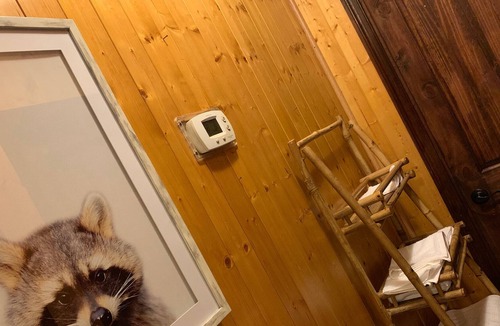 Dahlonega Cabin | River front, Wineries, Hot-tub, wonderful place to gather for celebrations.