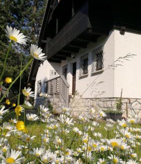 Preddvor House | River house HRIB