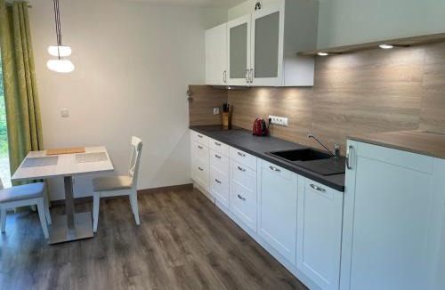 Obertraun Apartment | River Lilly Apartment