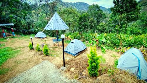 Chithirapuram Hotel | River Misty Munnar