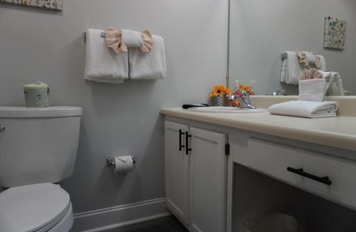 Pigeon Forge House | River Place Condos #603 2BD