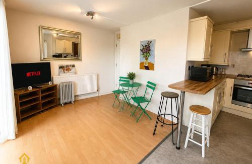 Sands End Apartment | River side view flat